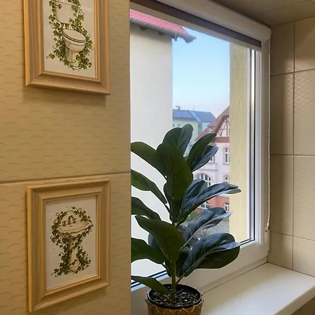 Apartman 14 Dorota *